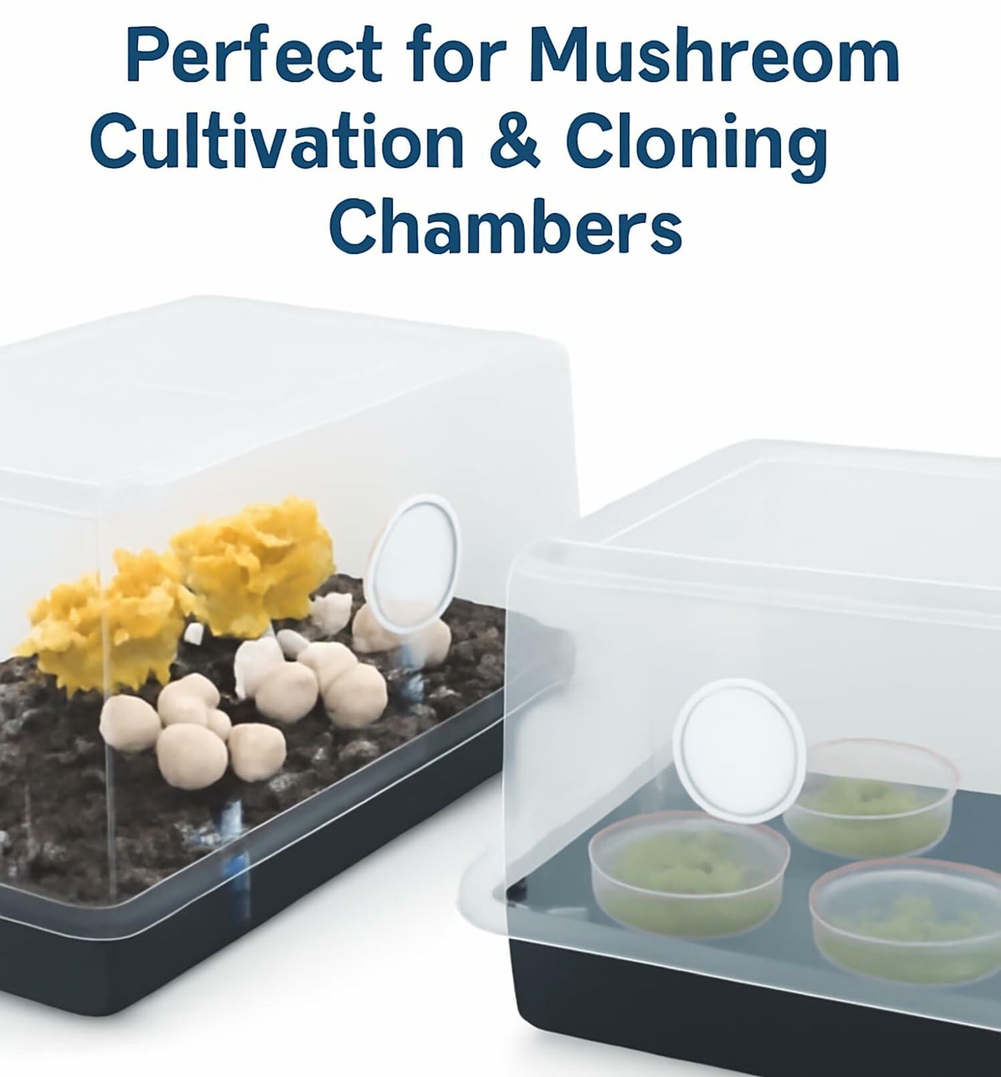 geonfi 12 Pcs Monotub Adhesive Filter Disks 2.5" 2MM Thick Synthetic