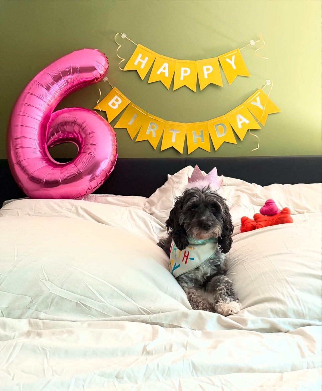 40in Pink Number 9 Balloon Large Foil Birthday Decoration for Men Women Kids