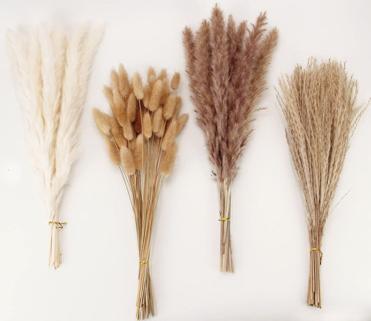 ANPROOR Dried Pampas Grass 100 Stems Bunny Tails Boho Decor 17" White Brown