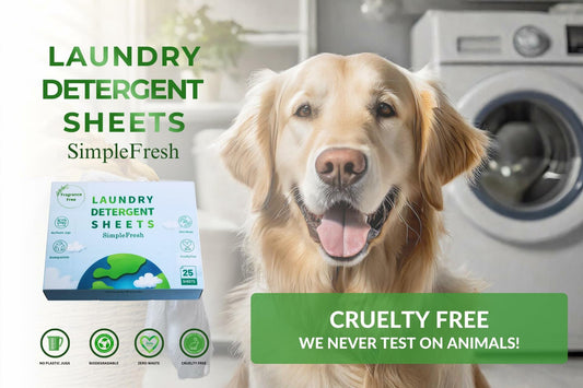 Simple Fresh Laundry Detergent Sheets Fragrance Free 50 Loads Pack of 25