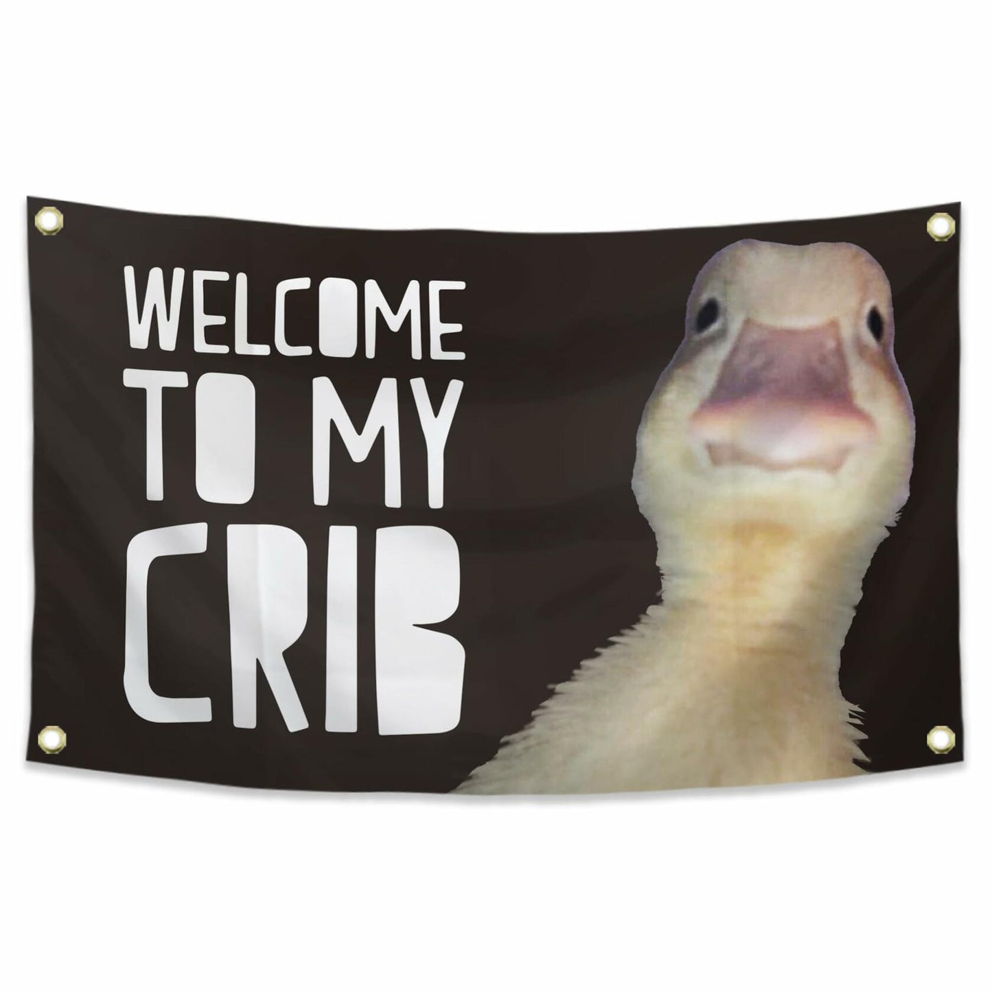 REwis Welcome To My Crib Flag 3x5ft Funny Dorm Room Wall Banner Decor