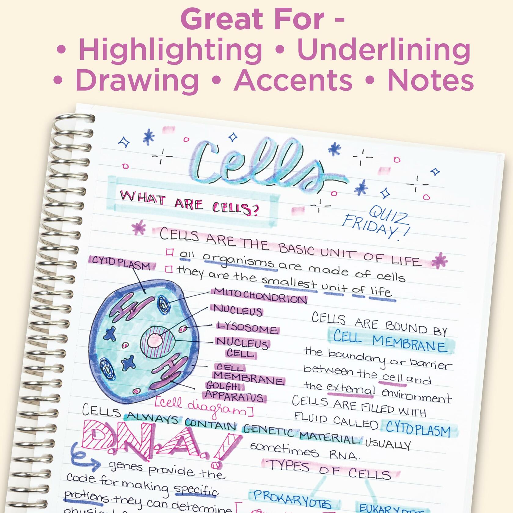 Zebra Pen Mildliner Dual-Tip Highlighters Broad Fine Tips Fluorescent 10-Pack