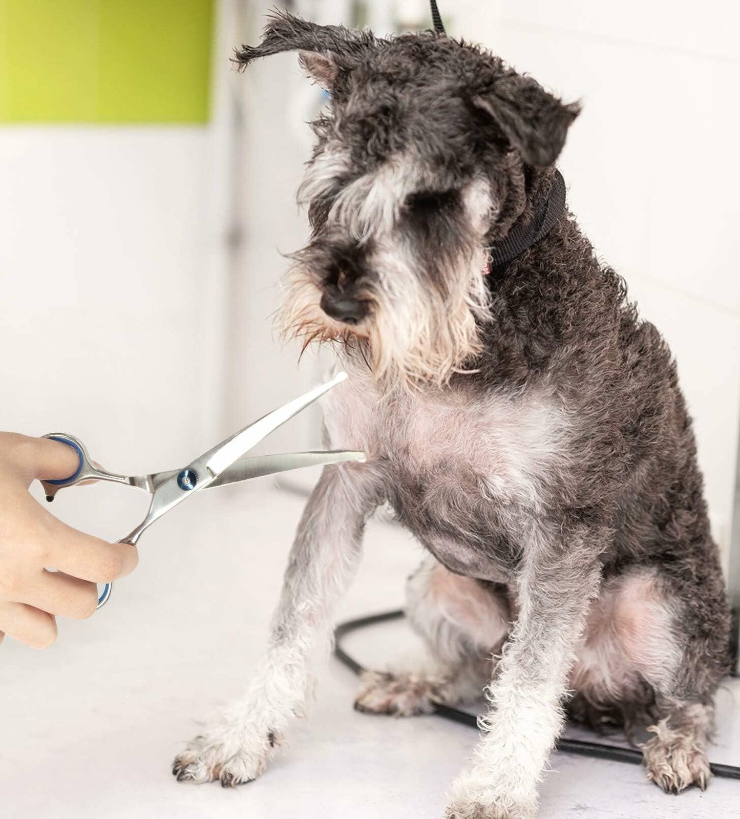 JRVT Pets vv 7.5" Curved Dog Grooming Scissors Stainless Steel Light Weight