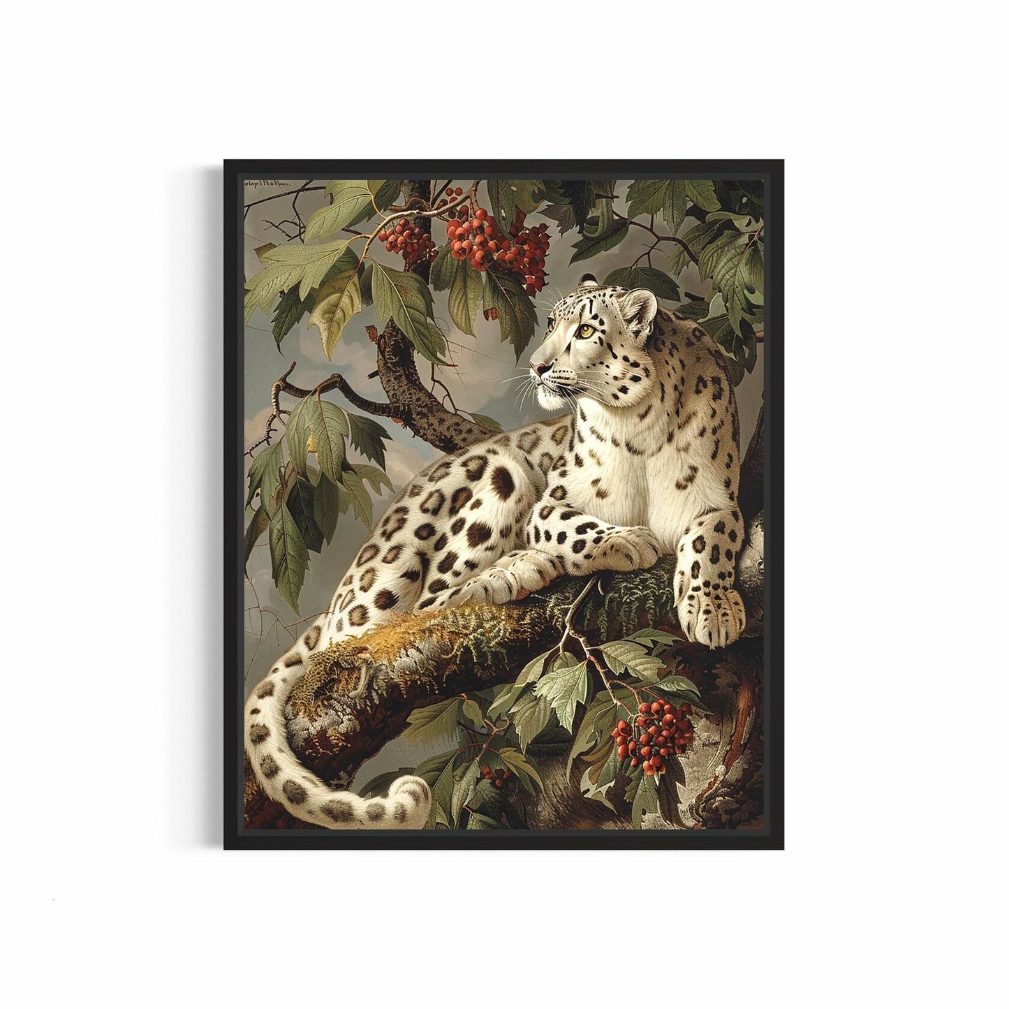 HomeArtPrint Snow Leopard Vintage Poster Art Print 8x10 inches Unframed