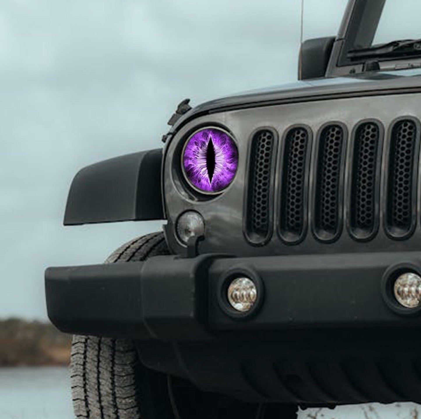 Generic Beast Eyes Headlight Decals 3D Stereo Round Red