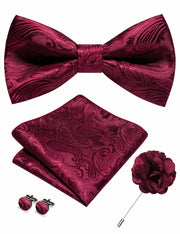 RBOCOTT Champagne Paisley Bow Tie Pocket Square Lapel Pin Cufflinks Set