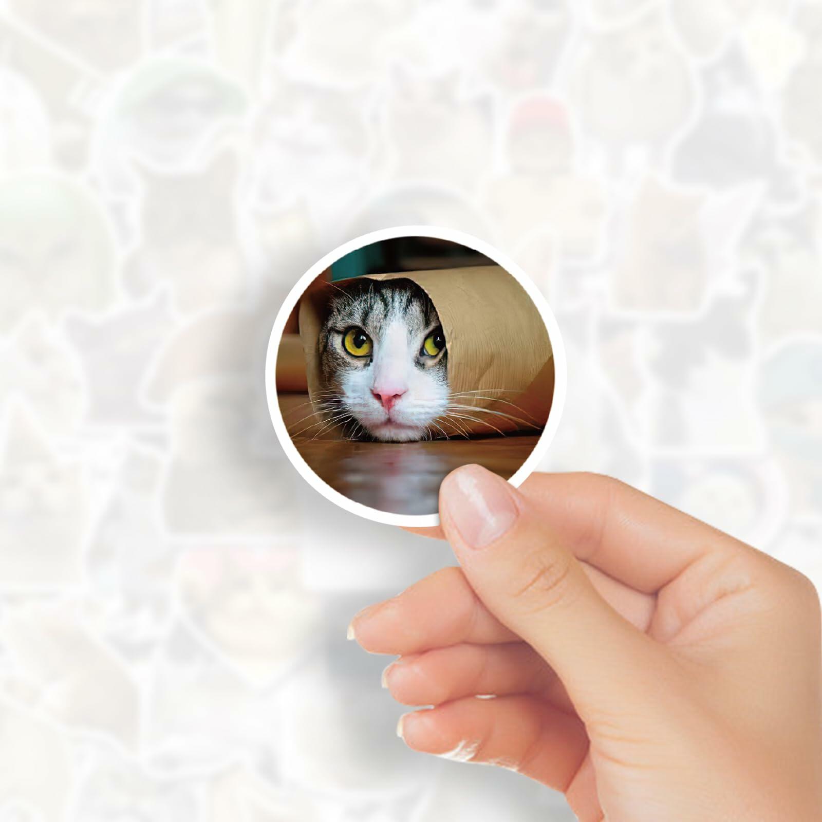 GizmoBox 100pcs Cute Cat Meme Stickers Waterproof Vinyl Decals for Laptop Kids