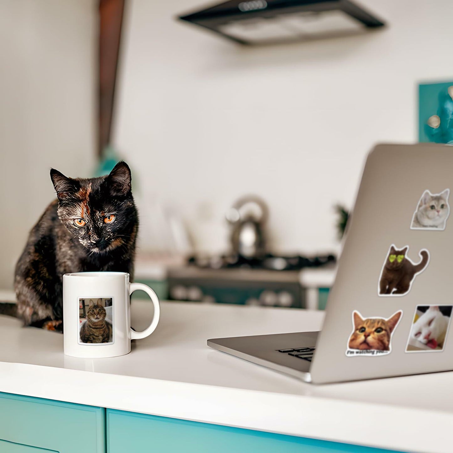 GizmoBox 100pcs Cute Cat Meme Stickers Waterproof Vinyl Decals for Laptop Kids