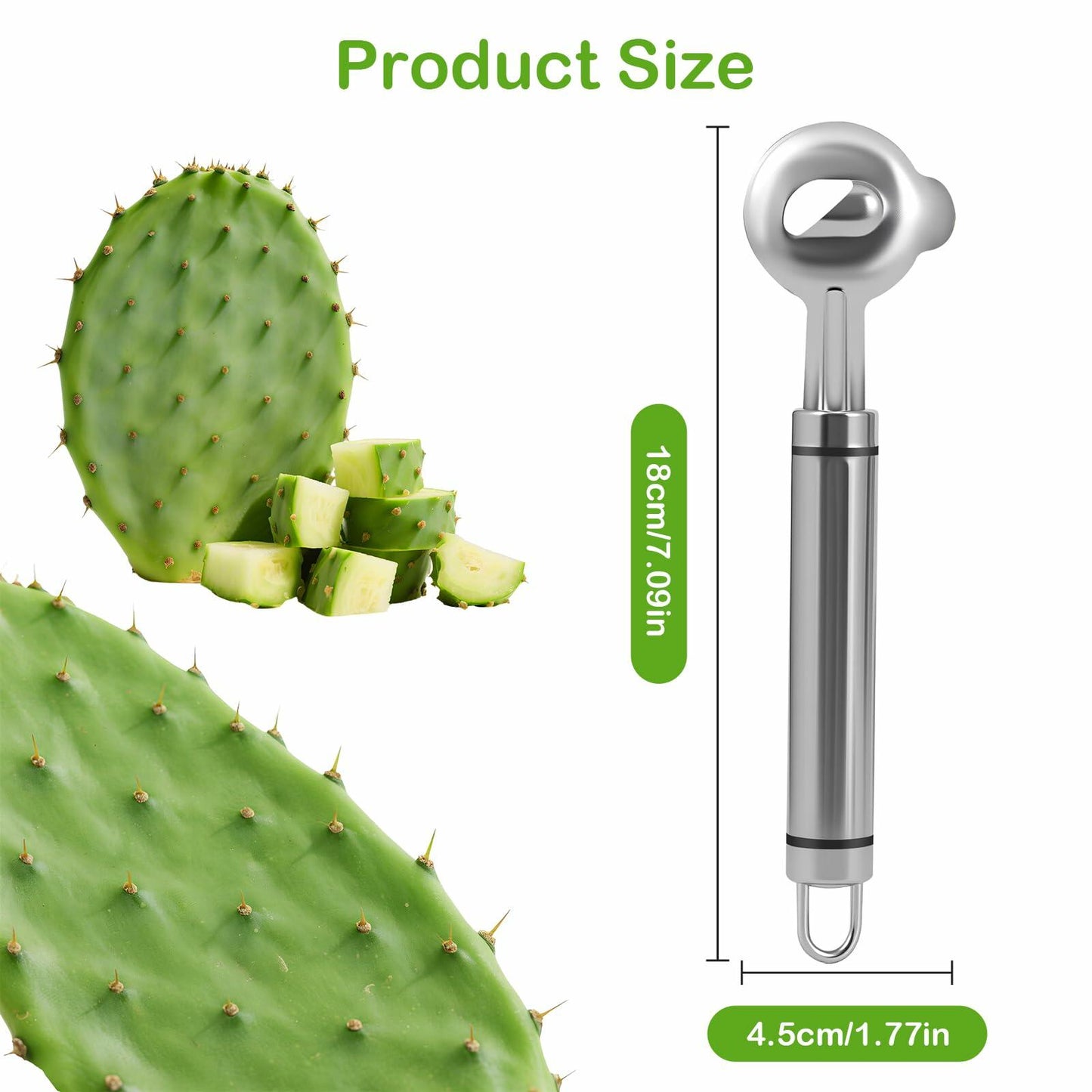 2pcs Stainless Steel Cactus Peeler Spoon Noodle Cutter Tool with Long Handle