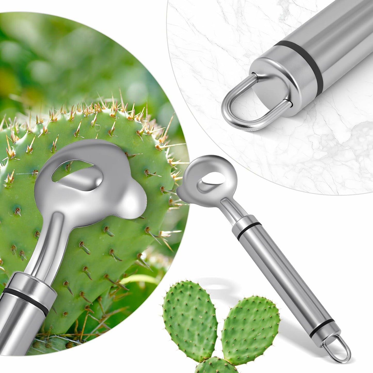2pcs Stainless Steel Cactus Peeler Spoon Noodle Cutter Tool with Long Handle