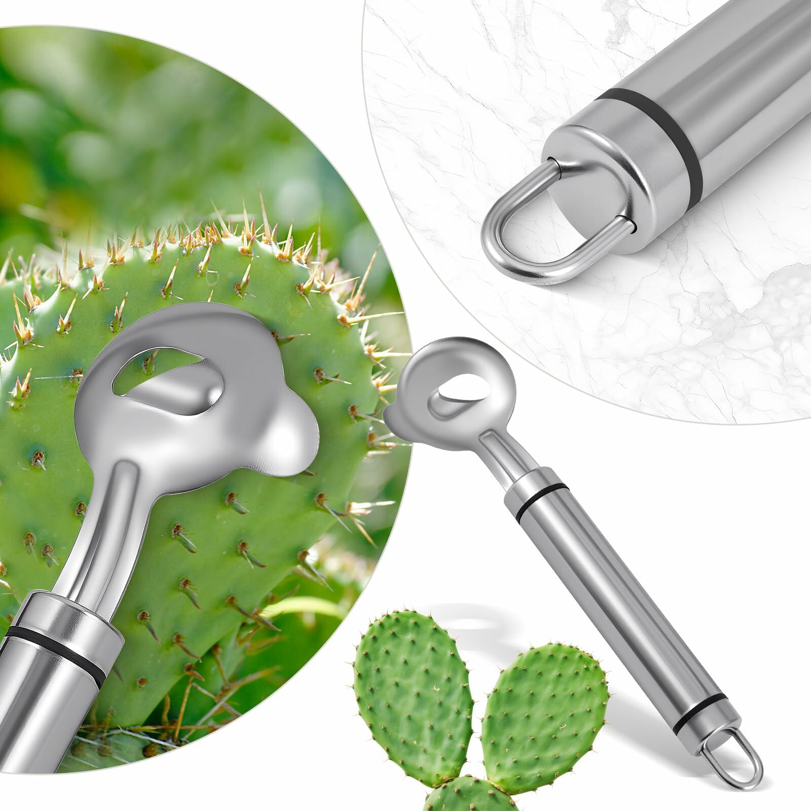 2pcs Stainless Steel Cactus Peeler Spoon Noodle Cutter Tool with Long Handle