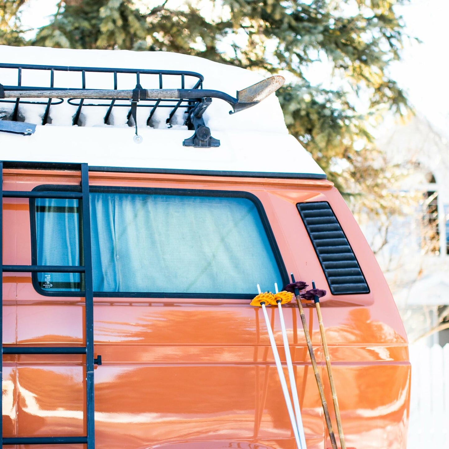 Stoke Tracks Mountain Lion Paw Ski Pole Baskets Lion Aubergine