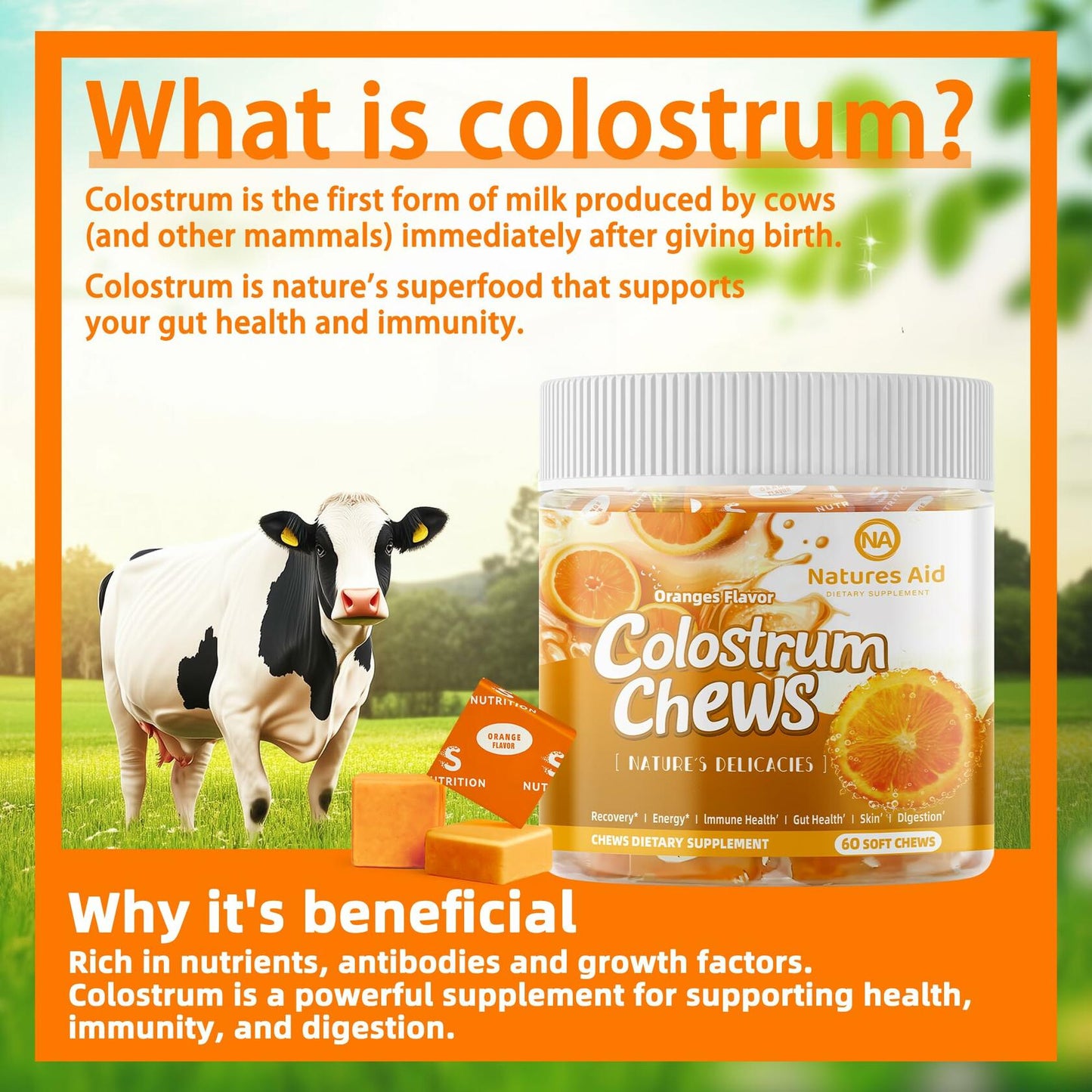 BestBy12/26 Natures Aid Colostrum Chews Probiotics Gut Health Orange 60 Sv