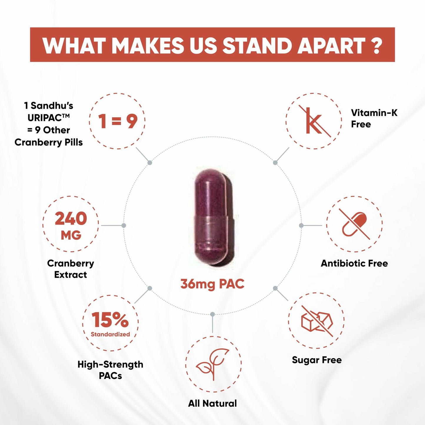 BestBy06/26 Sandhu's Uripac 36mg PACs Cranberry Extract 35 Capsules