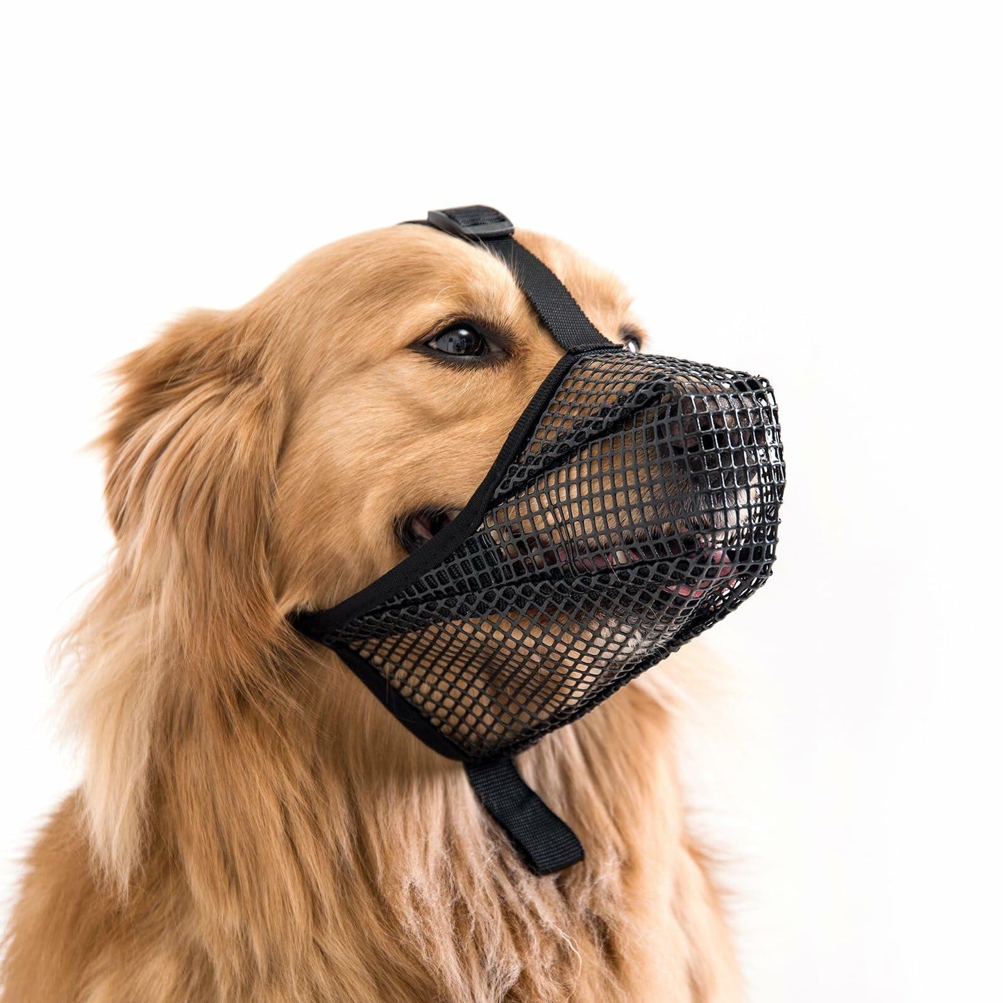 Herrypiggy Dog Muzzle Breathable Mesh Allows Panting Drinking L Black Size L