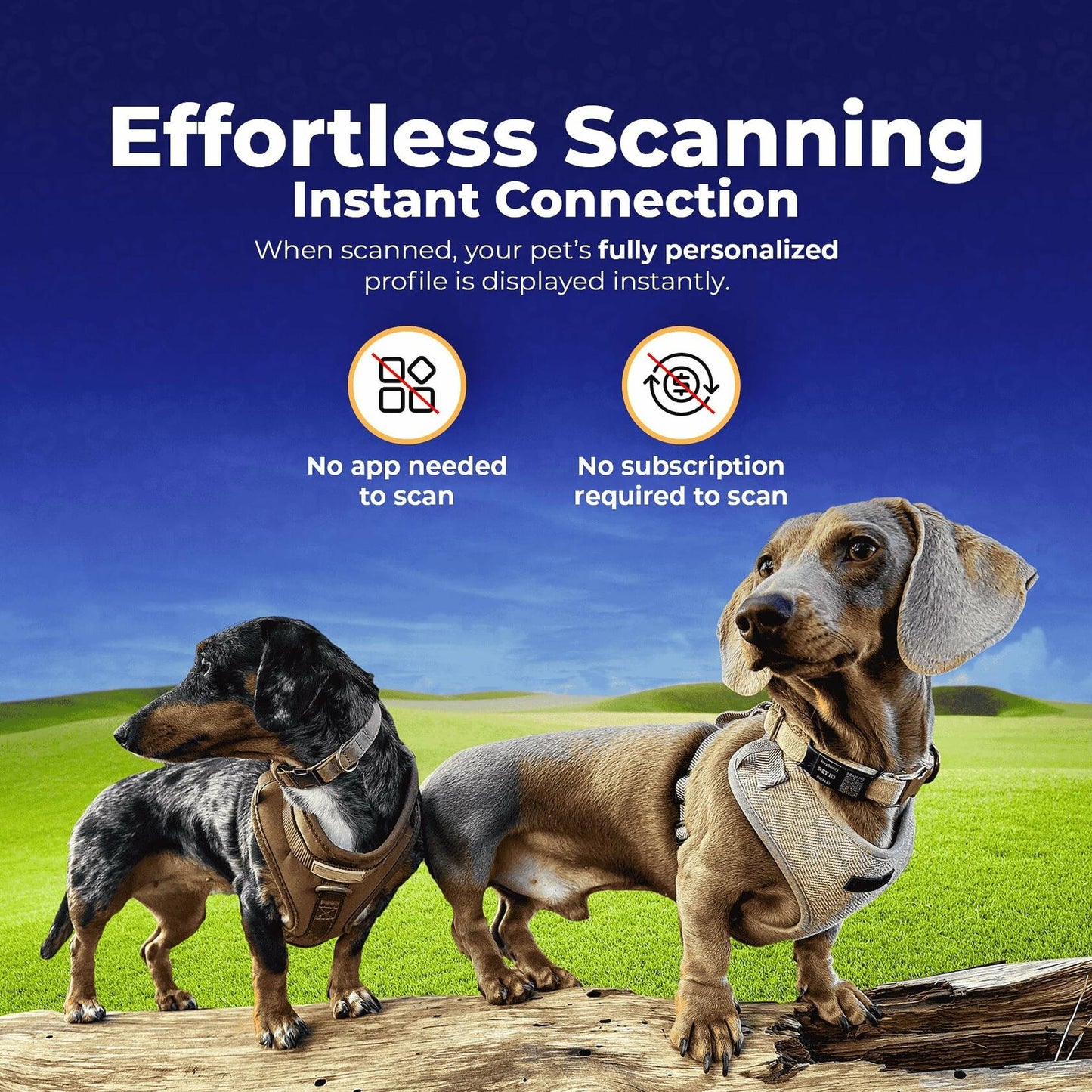 HeyBuddy Slide Series QR Code Smart Pet Tag Stainless Steel Blue