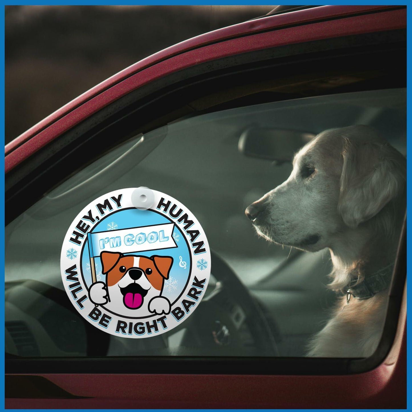 Generic I'M COOL Car Sign Pet Safety Alert Vinyl White/Blue Auto Accessory