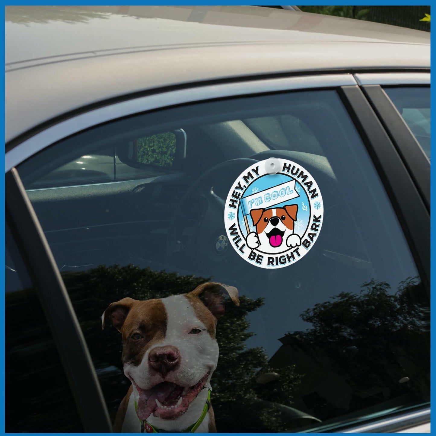 Generic I'M COOL Car Sign Pet Safety Alert Vinyl White/Blue Auto Accessory