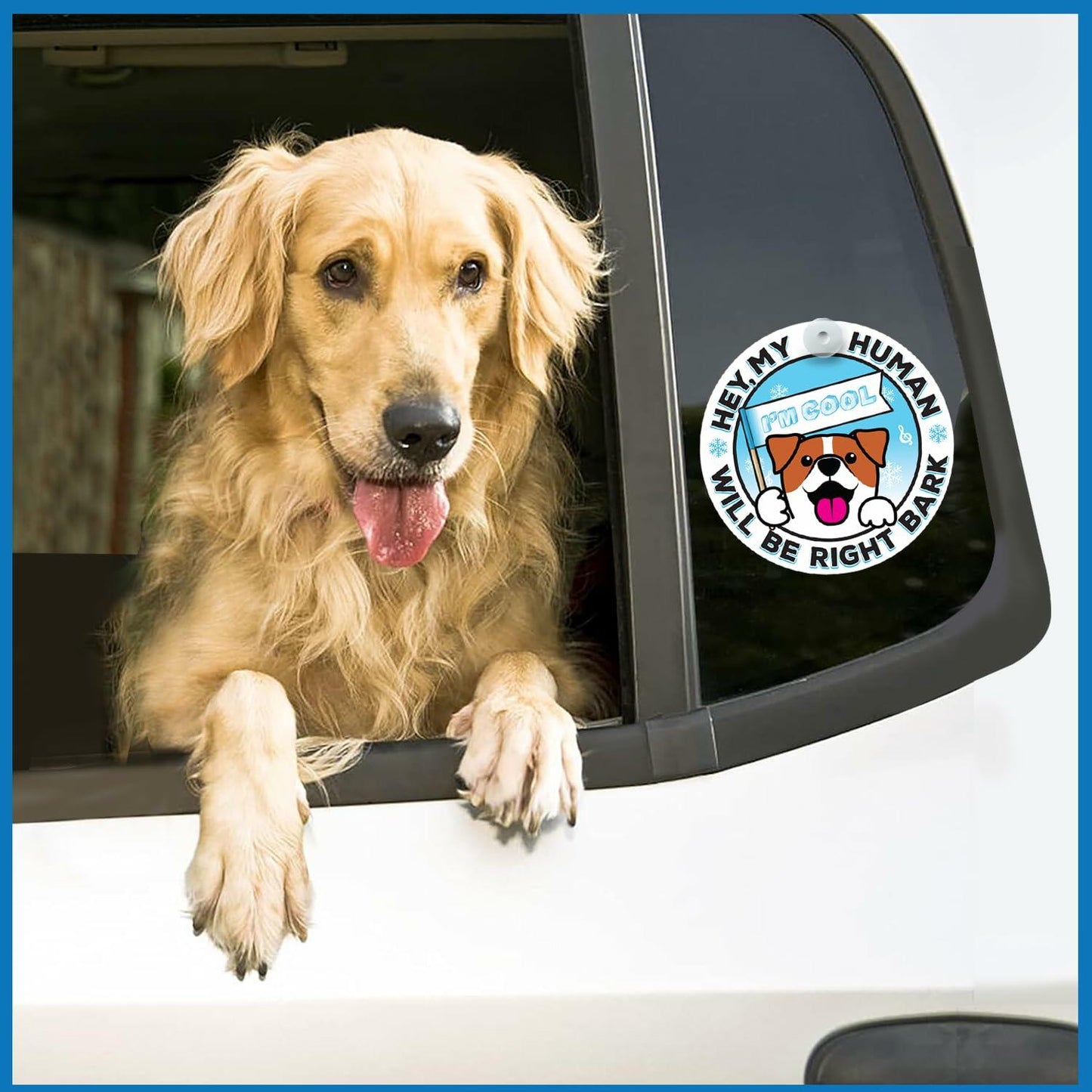 Generic I'M COOL Car Sign Pet Safety Alert Vinyl White/Blue Auto Accessory