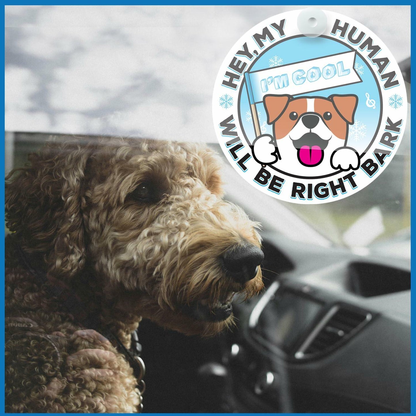 Generic I'M COOL Car Sign Pet Safety Alert Vinyl White/Blue Auto Accessory