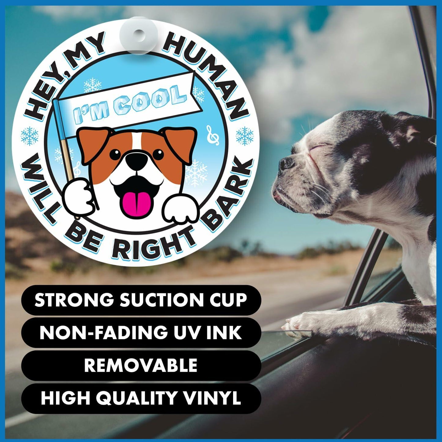 Generic I'M COOL Car Sign Pet Safety Alert Vinyl White/Blue Auto Accessory