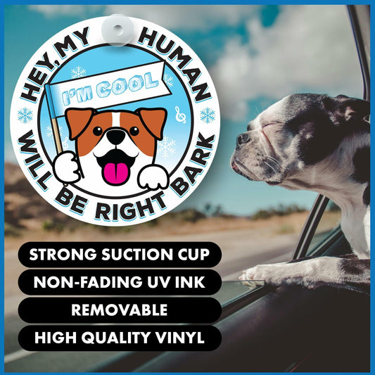 Generic I'M COOL Car Sign Pet Safety Alert Vinyl White/Blue Auto Accessory