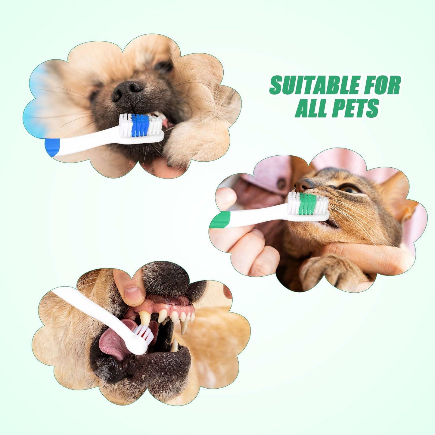 XIHIRCD 3pcs Dual Headed Pet Toothbrush Soft Bristles Dental Care Kit
