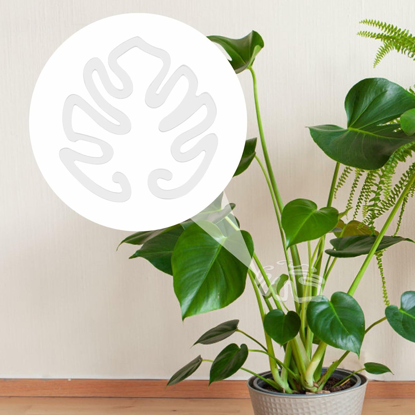 PEUTIER Monstera Acrylic Plant Stand Flower Shape Indoor Outdoor A Style