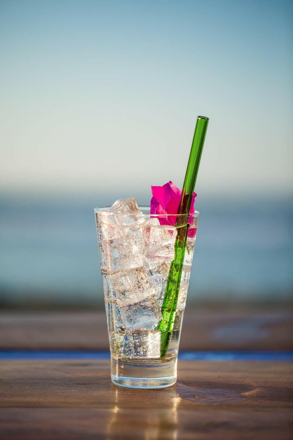 Hummingbird Glass Straws Havana Heat Straight 4 Pack 9" Multicolor