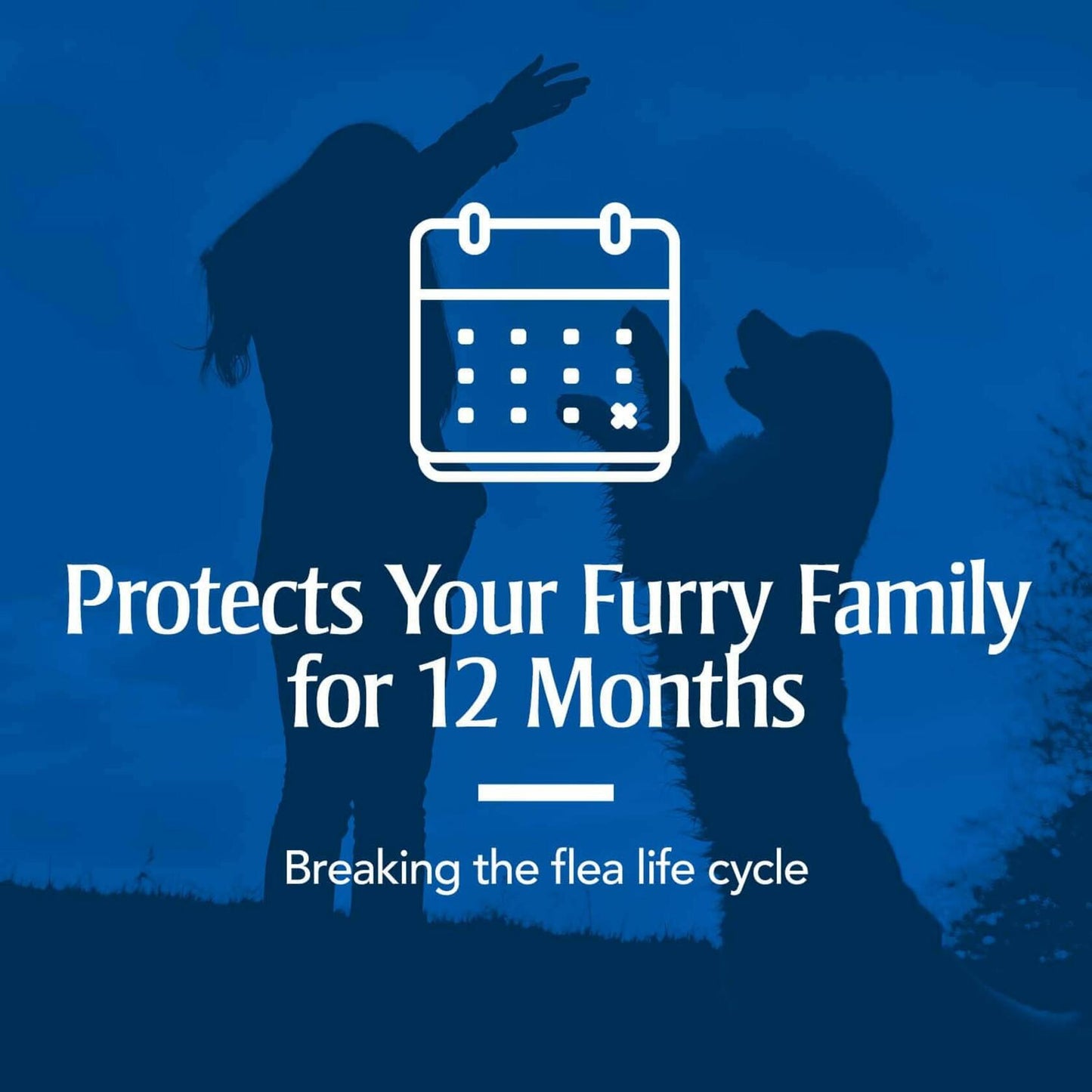 PETARMOR Home Carpet Powder Fleas Ticks Protection Deodorizer 16 Ounce