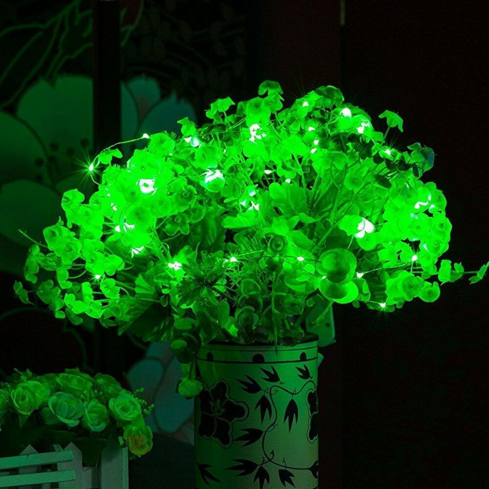 ER CHEN Green LED String Lights 99ft 300 LED Dimmable Silver Wire Remote