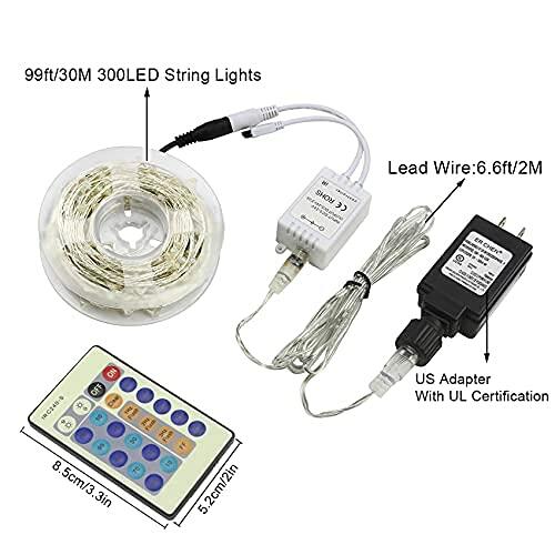 ER CHEN Green LED String Lights 99ft 300 LED Dimmable Silver Wire Remote