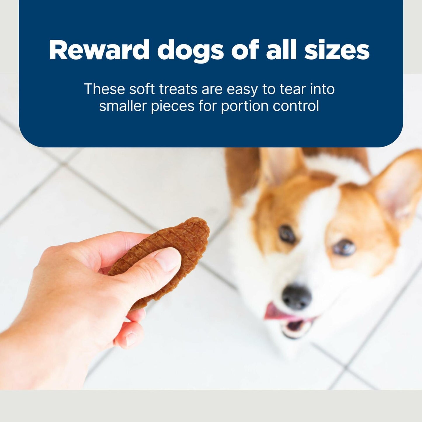 BestBy11/28/2025 Blue Buffalo Nudges Jerky Cuts Dog Treats Chicken 10oz USA