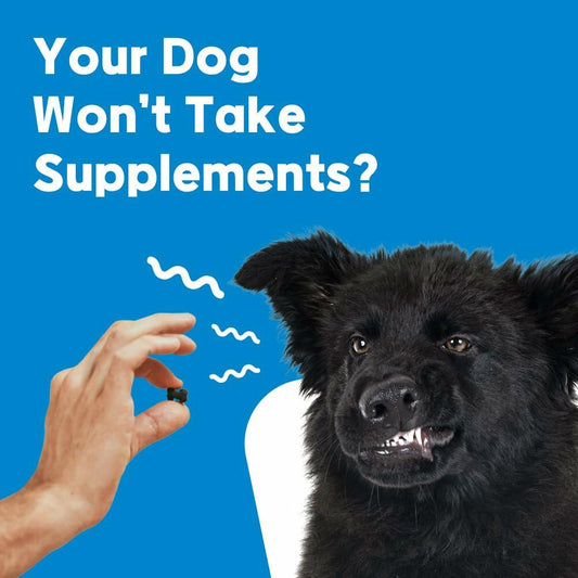 BestBy01/26 NeLM Dog Vitamins Multivitamin Eye Hip Joint Gut Dental 30 Strips