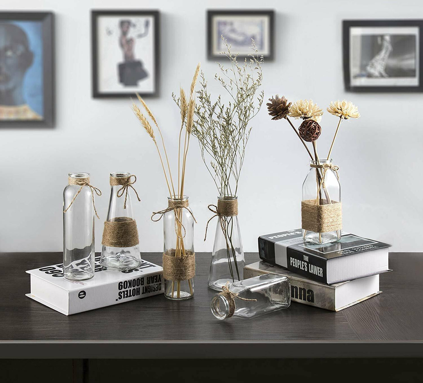 Opps Glass Vases Set of 6 Unique Shapes Creative Rope Design Clear