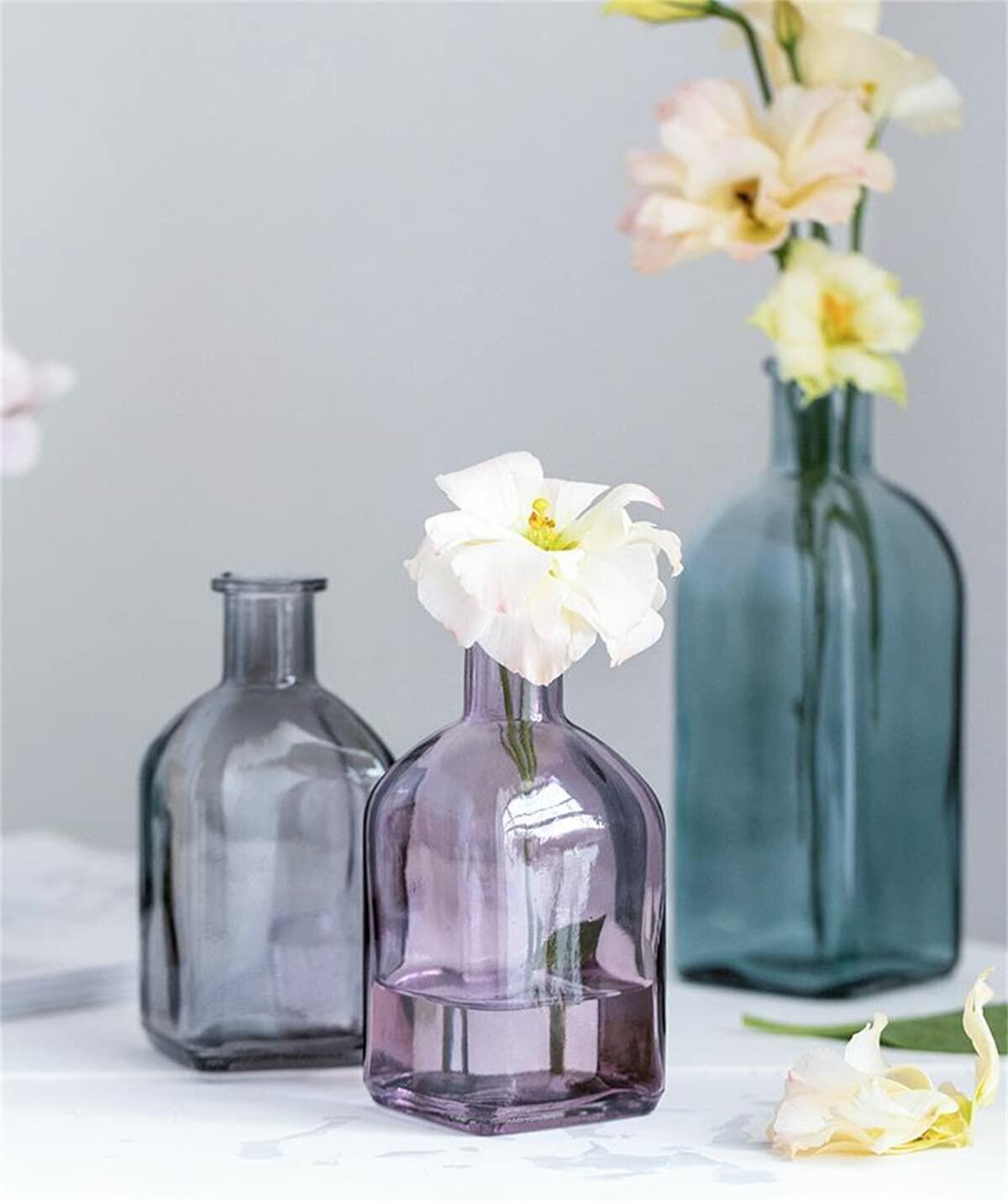 SHUILING Clear Bud Glass Vases 2 Sets Small Colorful Flower Vases Green