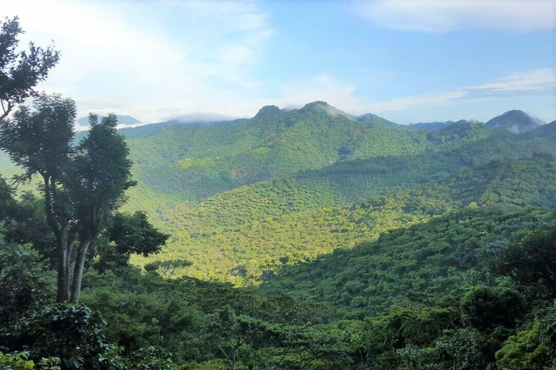 Stack Street Organic Gourmet Coffee Gift Set 5-Pack Whole Bean Sampler