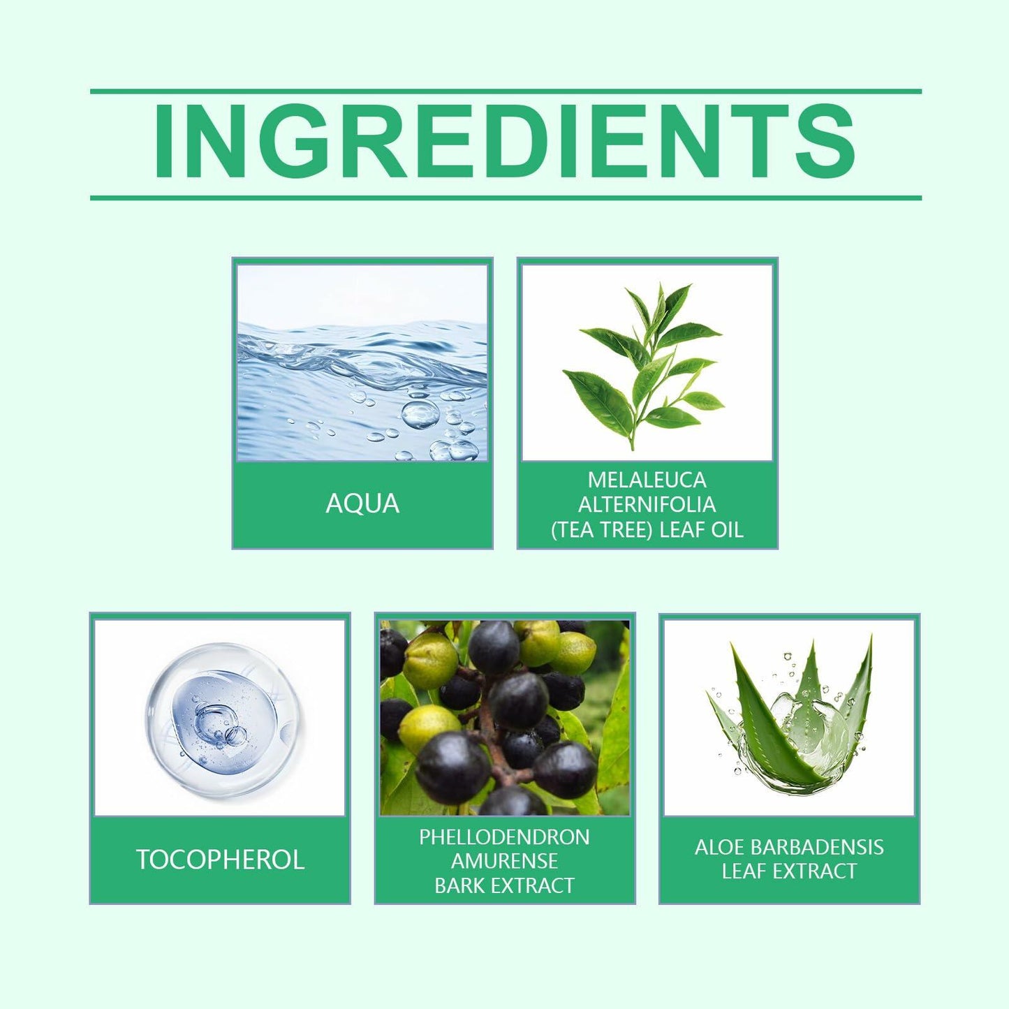 Generic Foot Sanitizer Spray with Tea Tree Oil Clear 1PCS