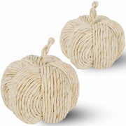 winemana 2 Pack Woven Pumpkin Decor Fall Thanksgiving White Assorted Size