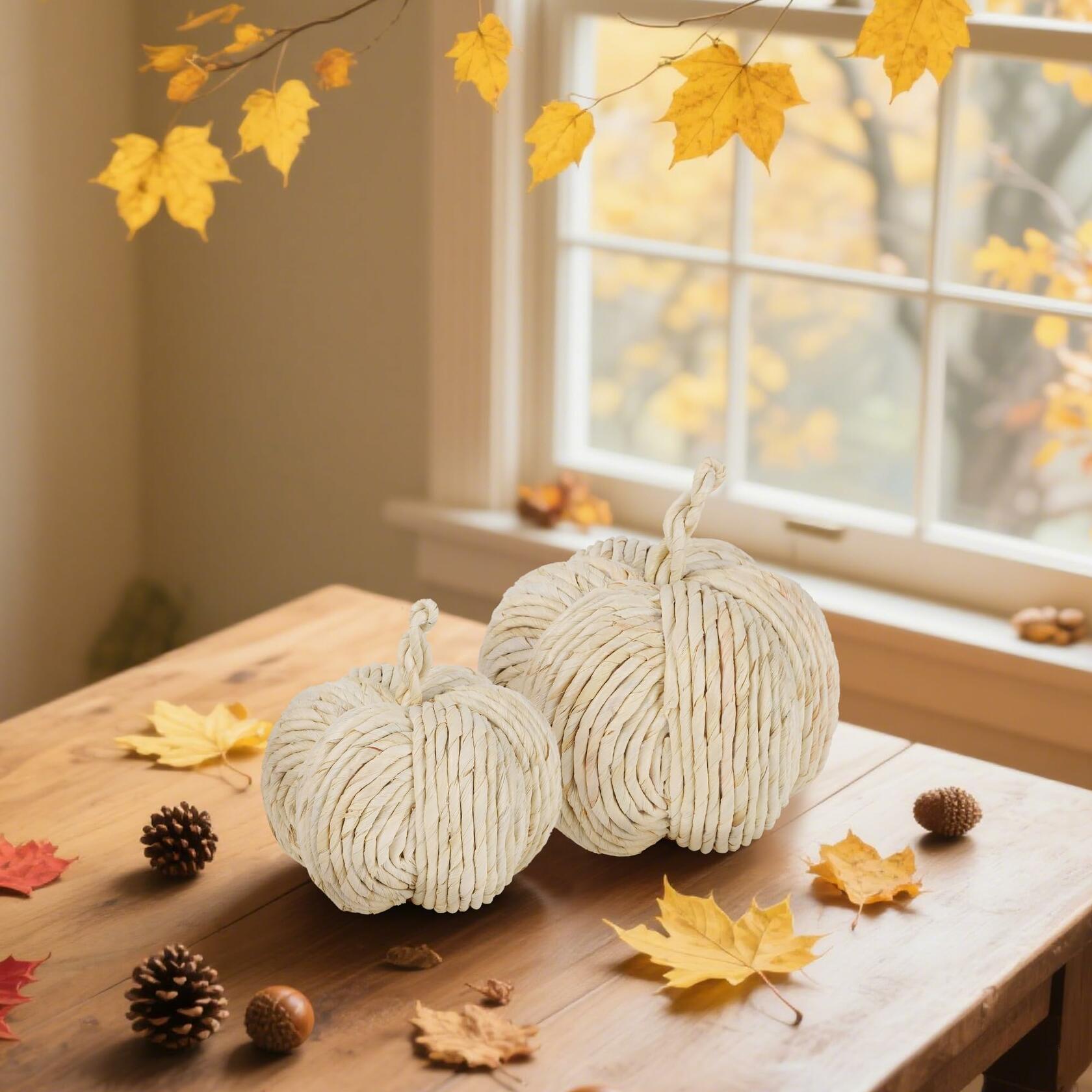 winemana 2 Pack Woven Pumpkin Decor Fall Thanksgiving White Assorted Size