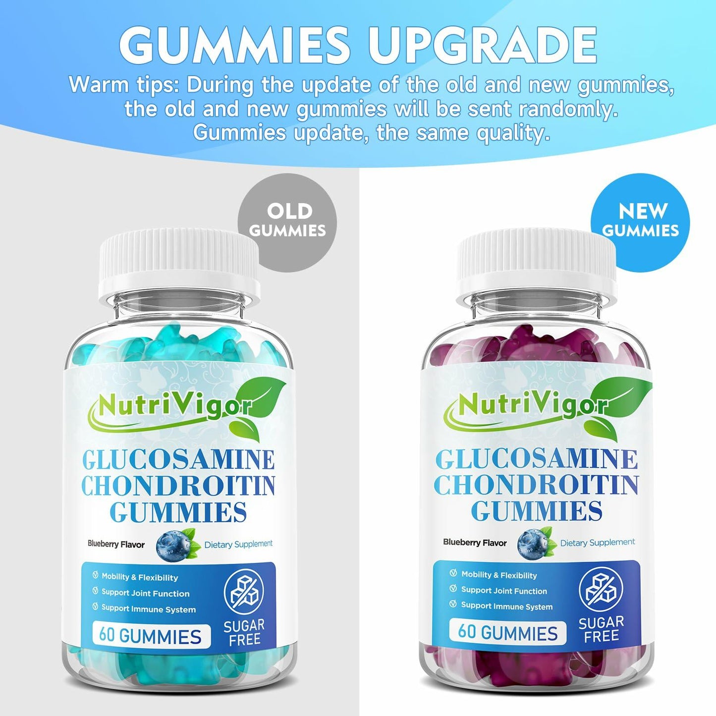NutriVigor Glucosamine Chondroitin MSM Elderberry Gummies Blueberry 60ct