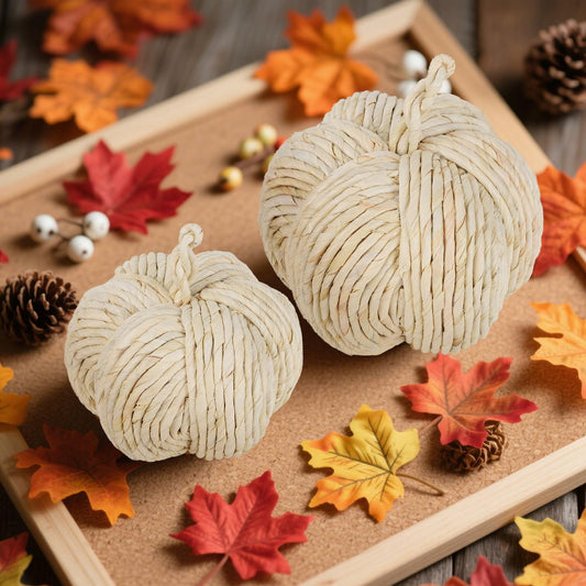 winemana 2 Pack Woven Pumpkin Decor Fall Thanksgiving White Assorted Size
