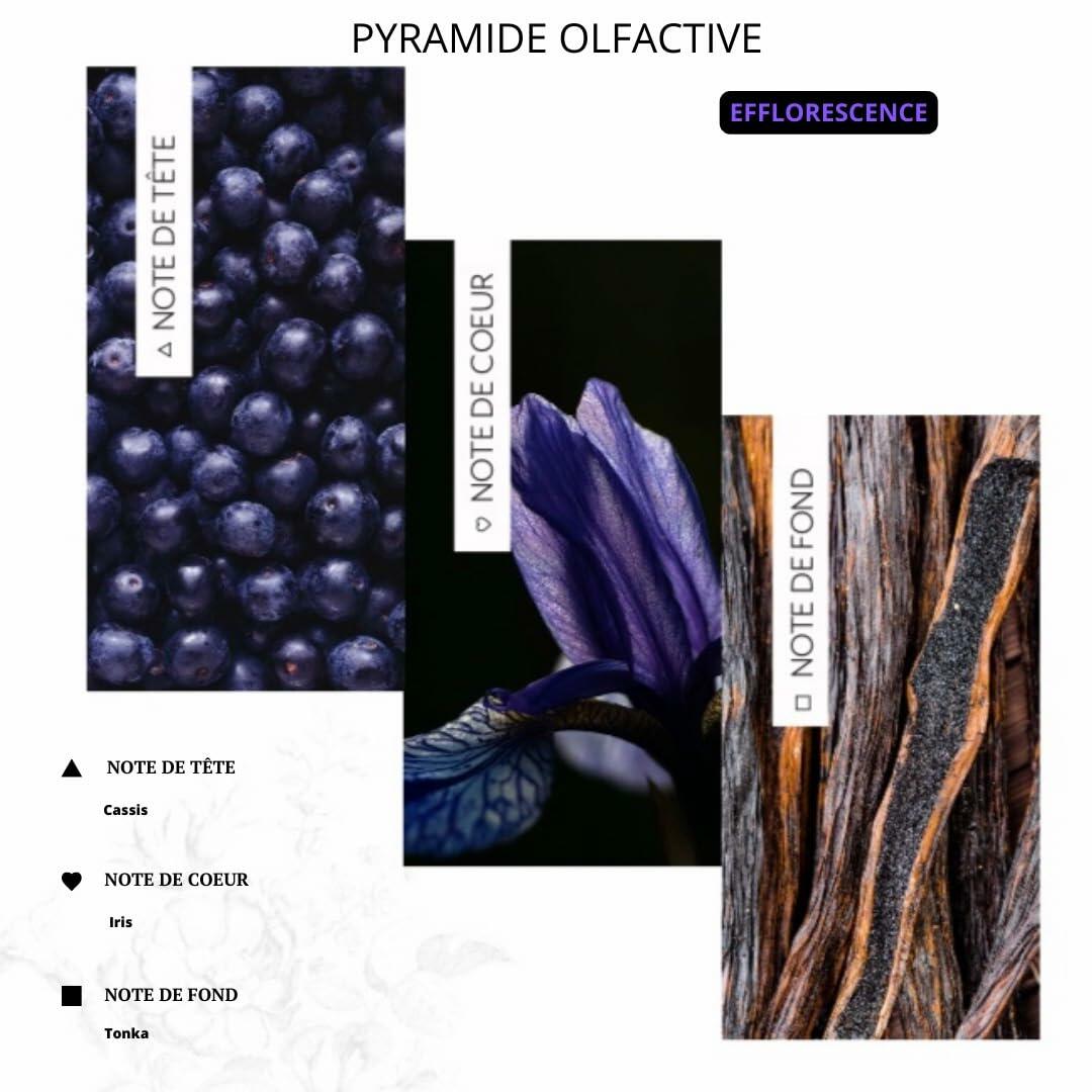 MADE IN FRANCE Hair Oil Argan Moringa Macadamia Coconut Castor 3.38 FL OZ