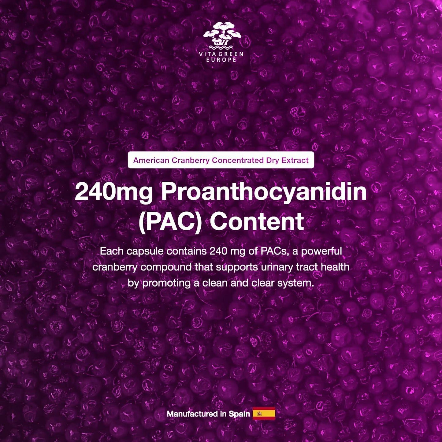 Cysticlean Cranberry PAC Supplement 240mg PAC Sugar-Free 30 Capsules