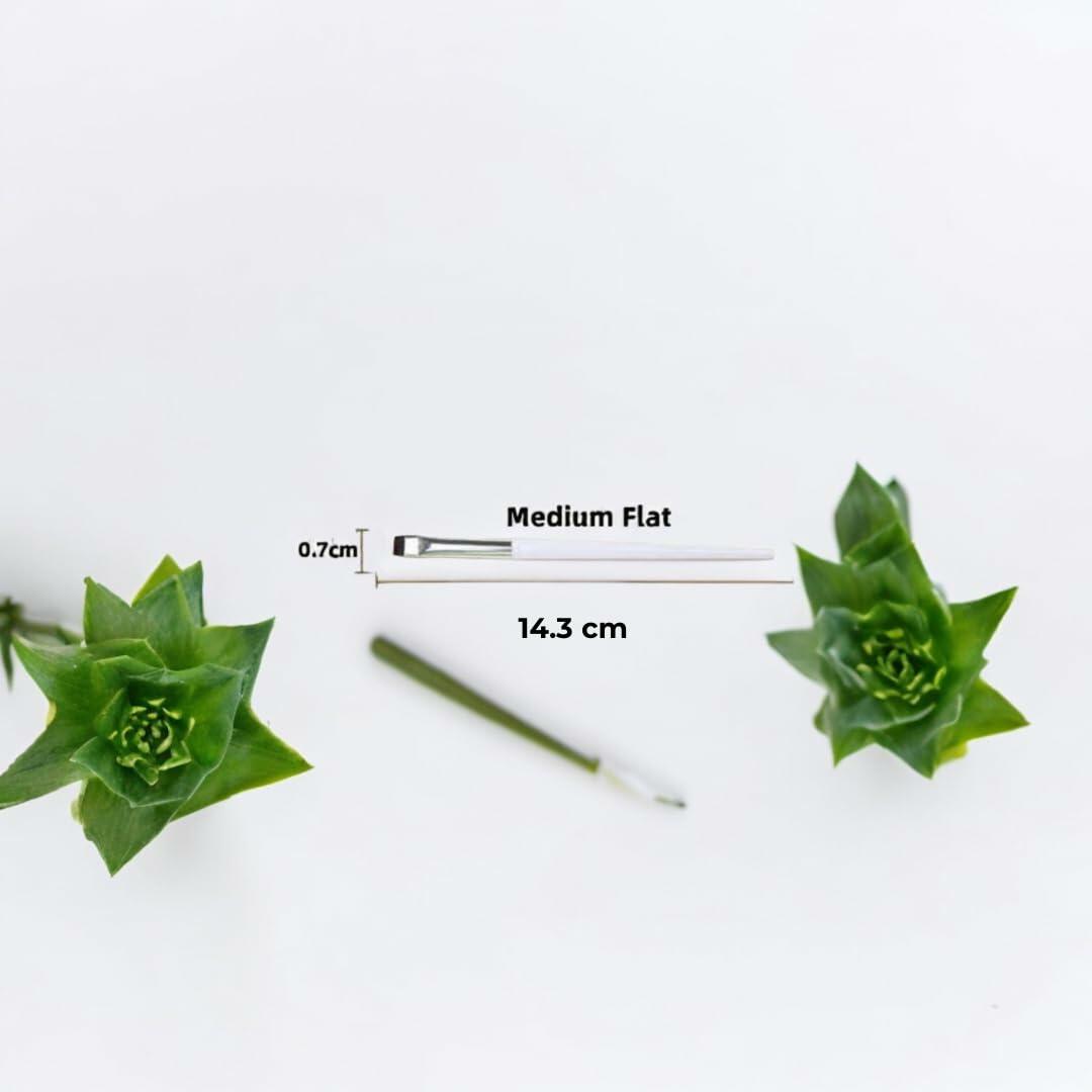 THABROWDOCTOR Makeup Brush Set 2pc Angled Flat Edge Synthetic Black White