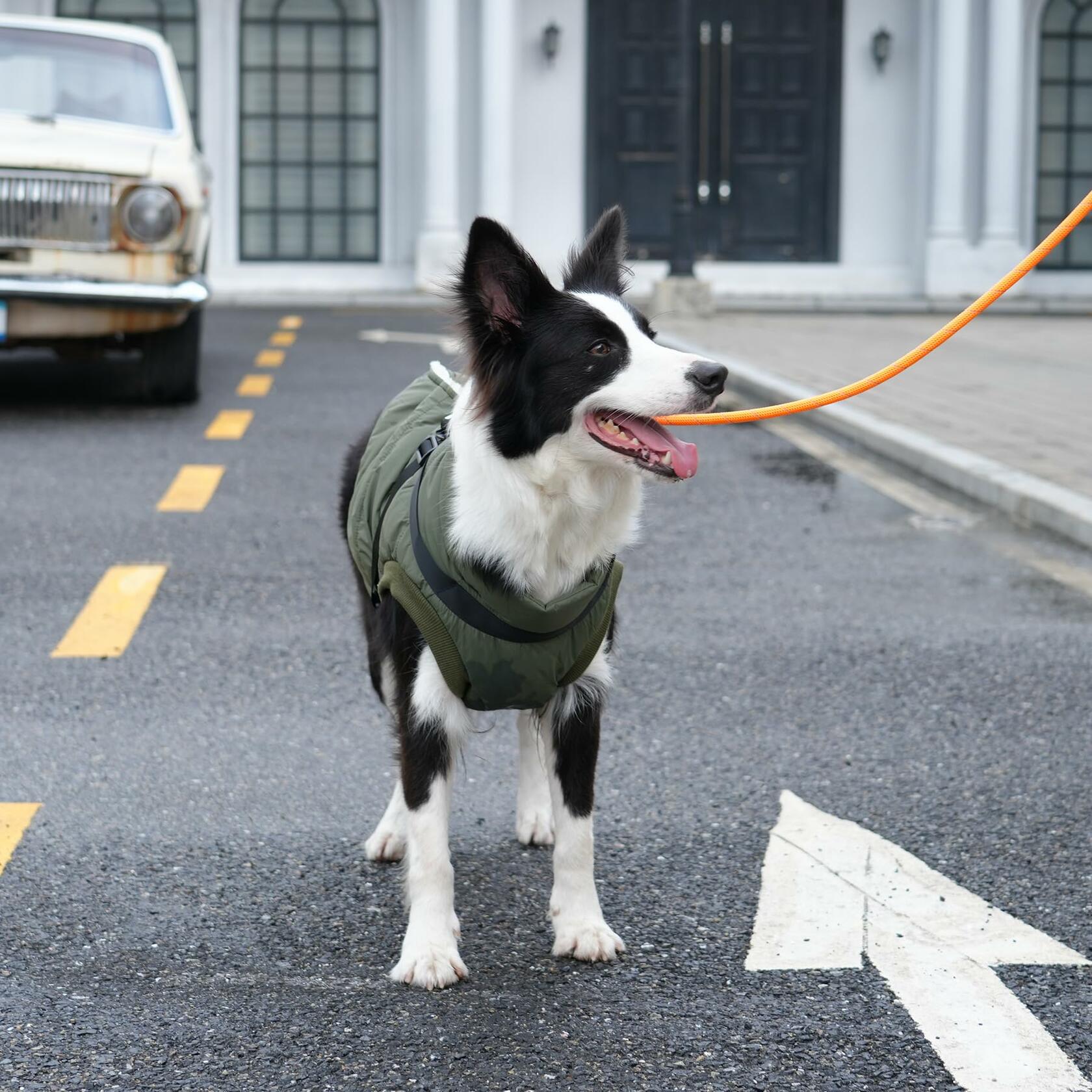 JoyDaog Dog Jacket Harness Fleece Lined Warm Winter Vest LightOrange Size M