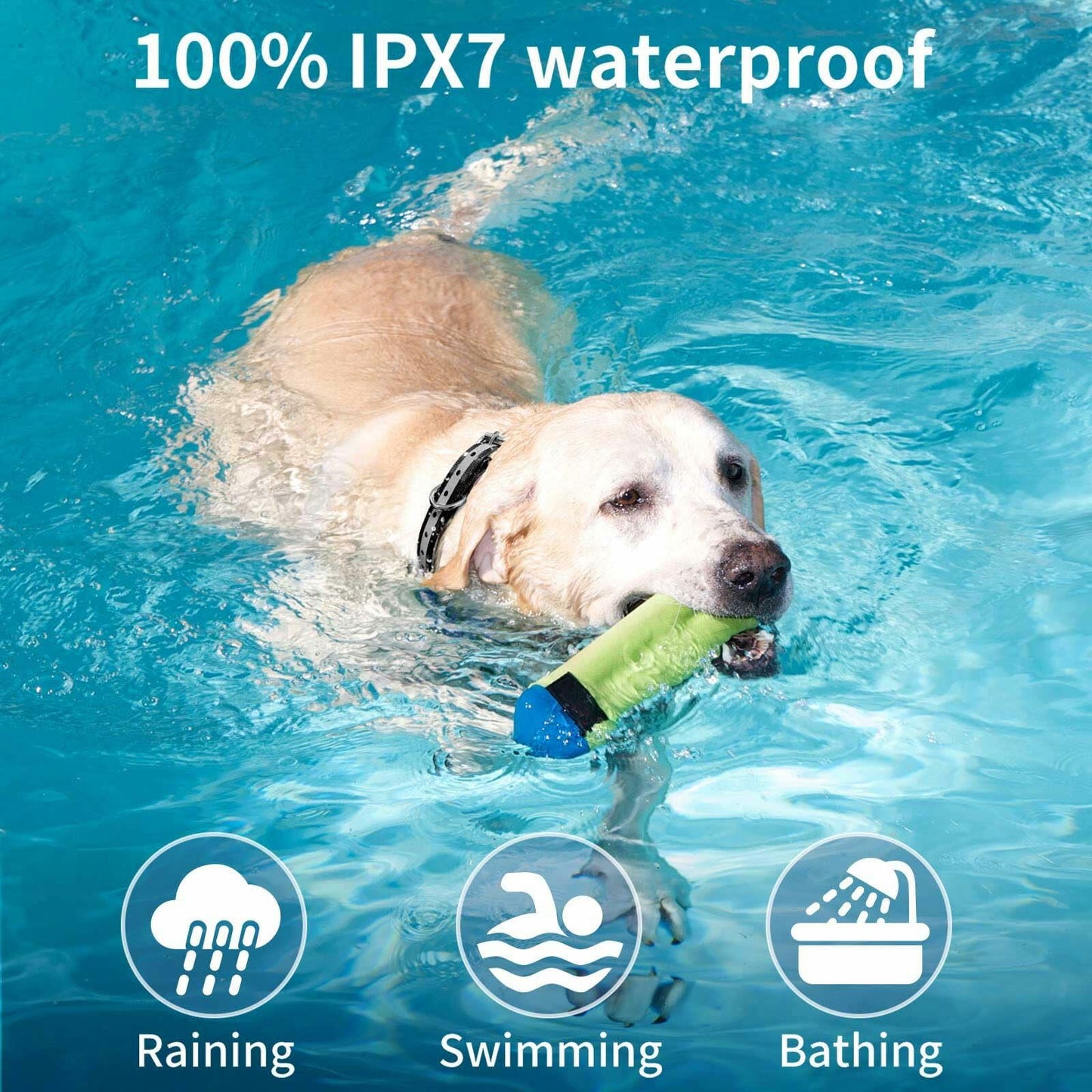 Generic Dog Shock Collar 3280FT Remote IPX8 Waterproof Beep Vibration Shock