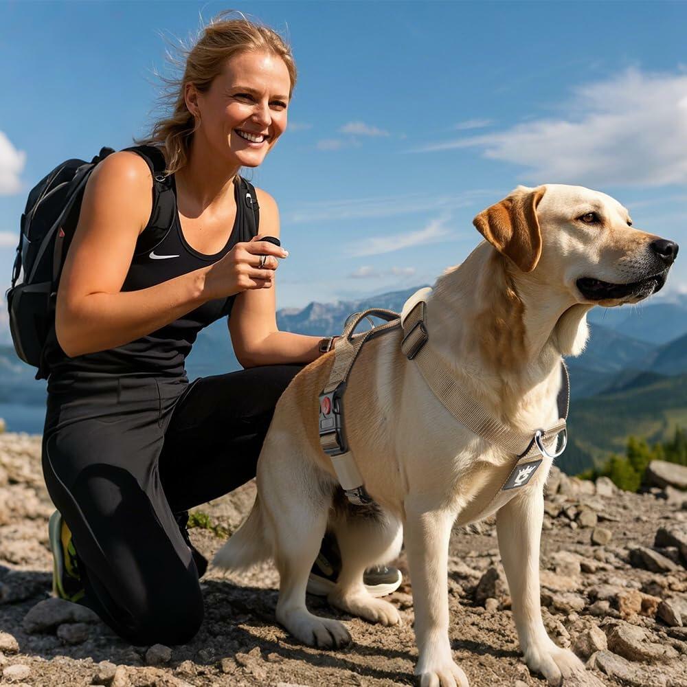 TSPRO Heavy Duty Tactical Dog Harness Adjustable Soft Handle Purple Size L