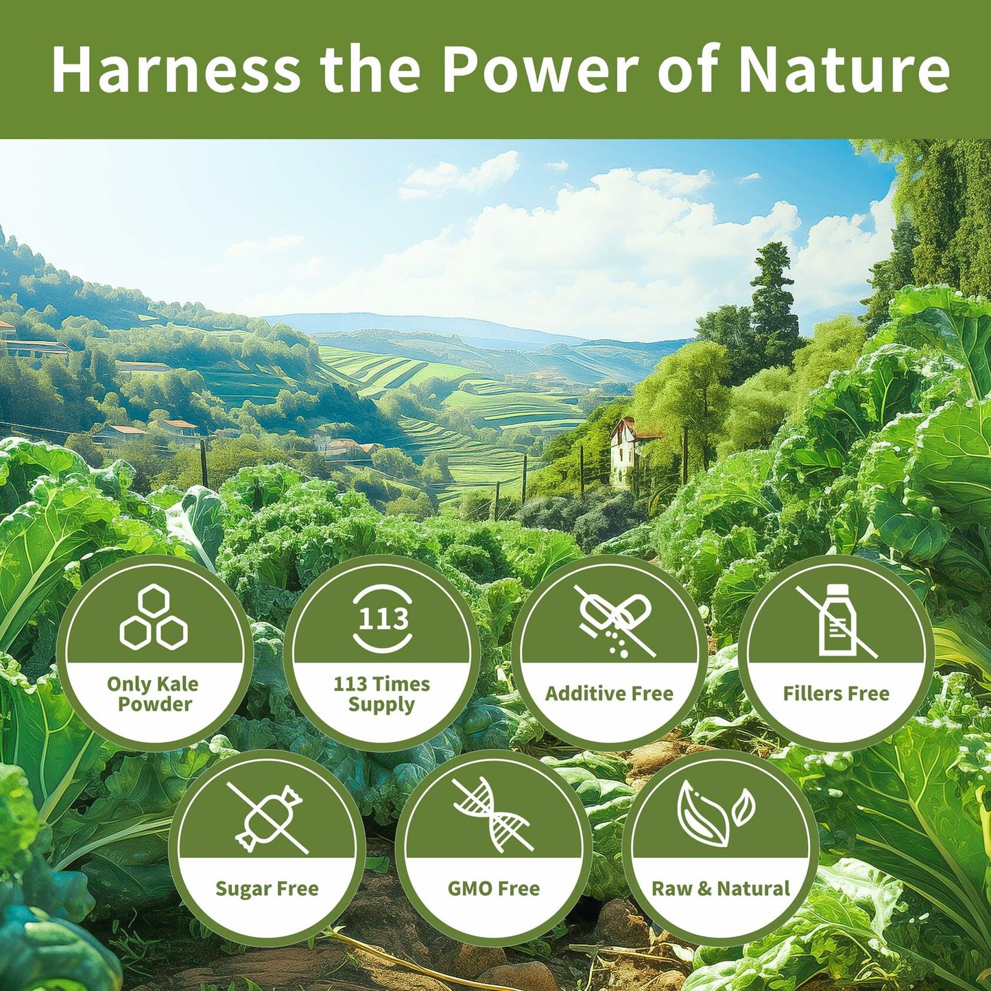 Hudetex Kale Powder 100% Pure Green Juice 12oz Vegan Dietary Fiber