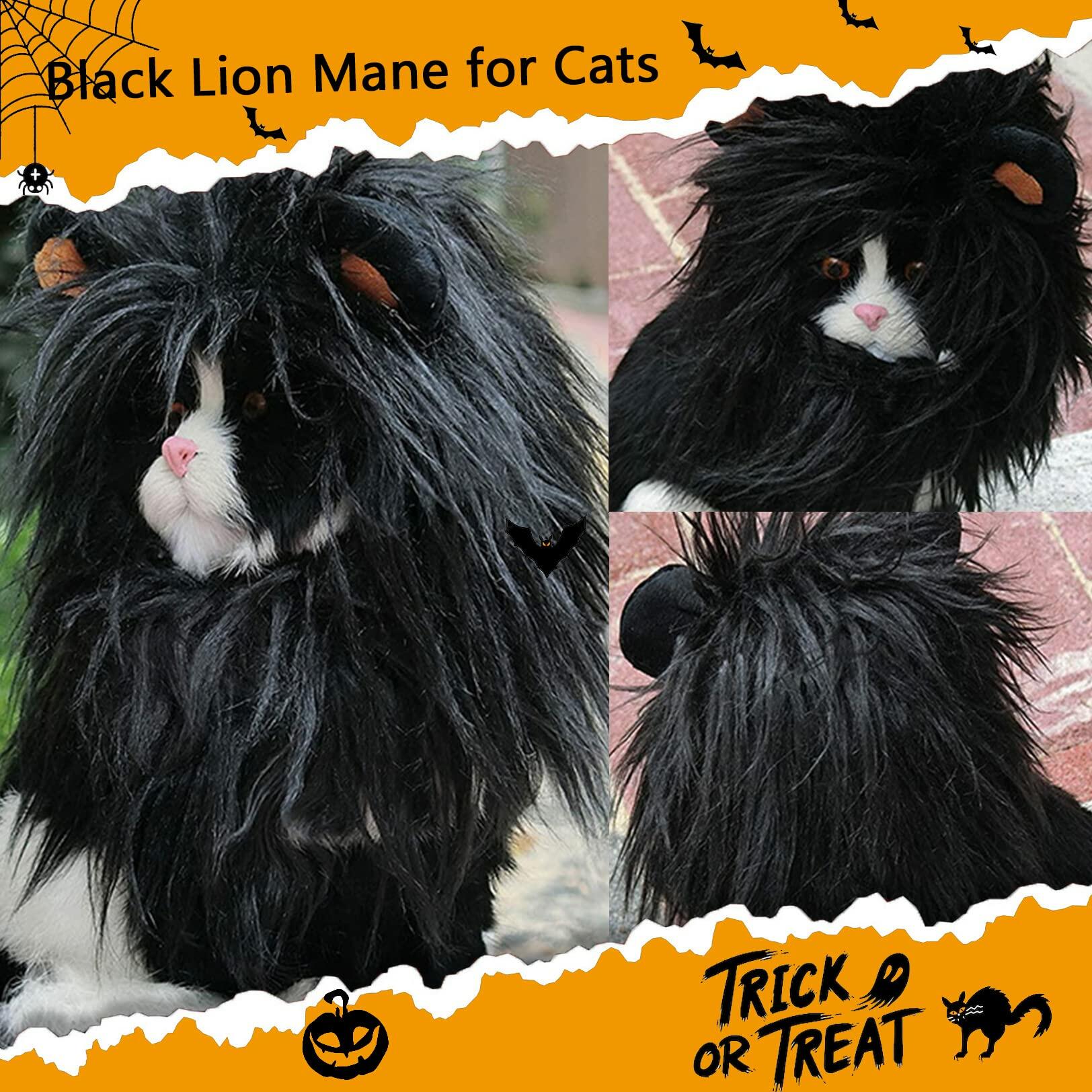 ITESSY Cat Halloween Costume Black Lion Mane Wig Hat Size S